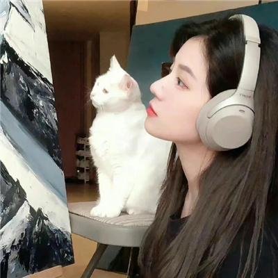 圣灵请回答